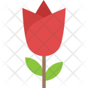 پیش‌نمایش فایل rose-188 از پک طبیعت ۲