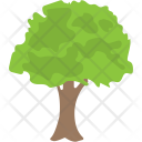 پیش‌نمایش فایل sugar-maple از پک طبیعت ۲