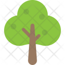 پیش‌نمایش فایل sugarberry-tree از پک طبیعت ۲