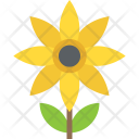 پیش‌نمایش فایل sun-flower-2 از پک طبیعت ۲