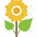 پیش‌نمایش فایل sunflower-127 از پک طبیعت ۲