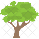 پیش‌نمایش فایل tree-959 از پک طبیعت ۲