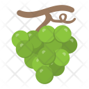 پیش‌نمایش فایل grapes-164 از پک غذا و نوشیدنی ۱