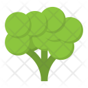 پیش‌نمایش فایل broccoli-87 از پک غذا و نوشیدنی ۳