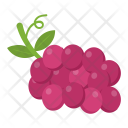 پیش‌نمایش فایل bunch-of-grapes از پک غذا و نوشیدنی ۴