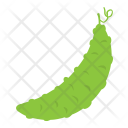 پیش‌نمایش فایل bitter-gourd-7 از پک غذا و نوشیدنی ۵