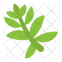 پیش‌نمایش فایل ewedu-leaf از پک غذا و نوشیدنی ۵