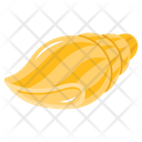 پیش‌نمایش فایل conch-6613696 از پک سفر