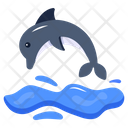پیش‌نمایش فایل dolphin-6613661 از پک سفر
