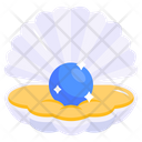 پیش‌نمایش فایل seashell-6613703 از پک سفر