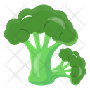 پیش‌نمایش فایل broccoli-6620085 از پک سبزیجات