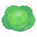 پیش‌نمایش فایل cabbage-6620079 از پک سبزیجات