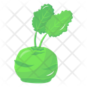 پیش‌نمایش فایل green-radish-6620108 از پک سبزیجات