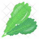 پیش‌نمایش فایل mint-leaves-6620106 از پک سبزیجات