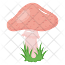 پیش‌نمایش فایل mushroom-6620078 از پک سبزیجات