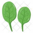 پیش‌نمایش فایل spinach-6620081 از پک سبزیجات