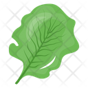 پیش‌نمایش فایل spinach-leaf-6620102 از پک سبزیجات