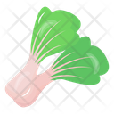 پیش‌نمایش فایل spring-onions-6620099 از پک سبزیجات