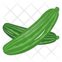 پیش‌نمایش فایل zucchini-6620094 از پک سبزیجات