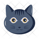 پیش‌نمایش فایل black-cat-6620287 از پک جادو و افسانه