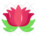 پیش‌نمایش فایل lotus-6620315 از پک جادو و افسانه