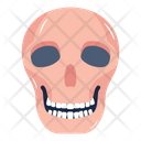 پیش‌نمایش فایل skull-6620310 از پک جادو و افسانه