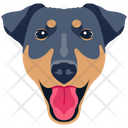 پیش‌نمایش فایل dog-6635305 از پک سگ