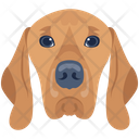 پیش‌نمایش فایل dog-6635307 از پک سگ