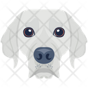 پیش‌نمایش فایل dog-6635309 از پک سگ