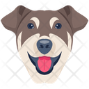 پیش‌نمایش فایل dog-6635313 از پک سگ