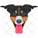 پیش‌نمایش فایل dog-6635315 از پک سگ