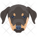 پیش‌نمایش فایل dog-6635317 از پک سگ