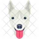پیش‌نمایش فایل dog-6635323 از پک سگ