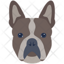 پیش‌نمایش فایل dog-6635331 از پک سگ