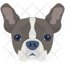 پیش‌نمایش فایل dog-6635334 از پک سگ