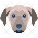 پیش‌نمایش فایل dog-6635335 از پک سگ