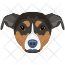 پیش‌نمایش فایل dog-6635336 از پک سگ