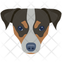 پیش‌نمایش فایل dog-6635337 از پک سگ
