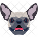 پیش‌نمایش فایل dog-6635338 از پک سگ