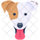 پیش‌نمایش فایل dog-6635342 از پک سگ