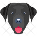 پیش‌نمایش فایل dog-6635343 از پک سگ