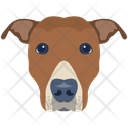 پیش‌نمایش فایل dog-6635344 از پک سگ