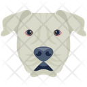 پیش‌نمایش فایل dog-6635345 از پک سگ