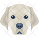 پیش‌نمایش فایل dog-6635347 از پک سگ