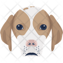 پیش‌نمایش فایل dog-6635352 از پک سگ