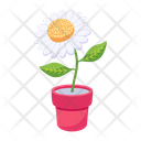 پیش‌نمایش فایل flower-pot-6646858 از پک محیط زیست