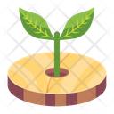 پیش‌نمایش فایل sprout-6646890 از پک محیط زیست