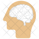 پیش‌نمایش فایل human-brain-29 از پک آموزش ۲