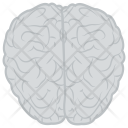 پیش‌نمایش فایل human-brain-30 از پک آموزش ۲