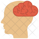 پیش‌نمایش فایل human-brain-31 از پک Education 1 